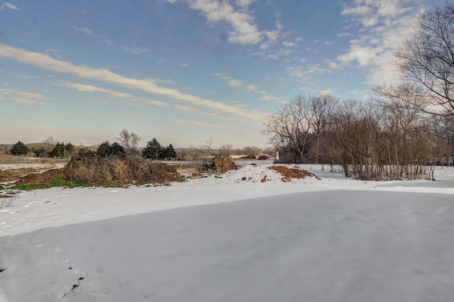 view of yard covered in snow