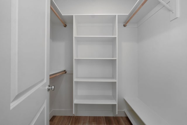 spacious closet with hardwood / wood-style flooring