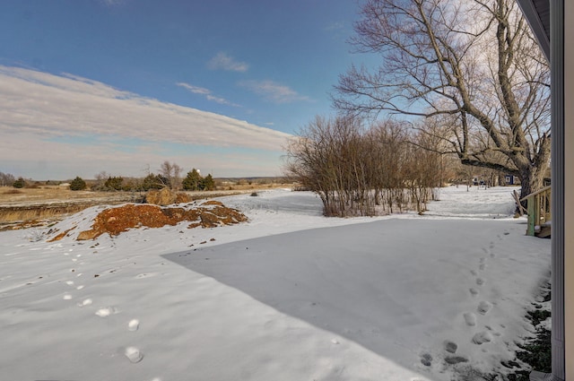 view of yard layered in snow