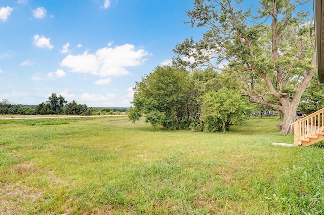 210B W Clinton St, Rogersville, MO 65742 - view of green lawn