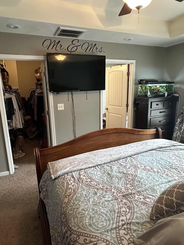 bedroom featuring ceiling fan, a closet, carpet, and a walk in closet