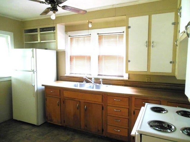 kitchen featuring ceiling fan, ornamental molding, sink, and white appliances