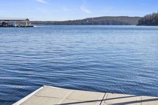 dock area featuring a water view