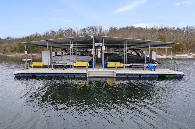 dock area with a water view