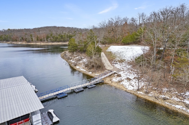 dock area with a water view