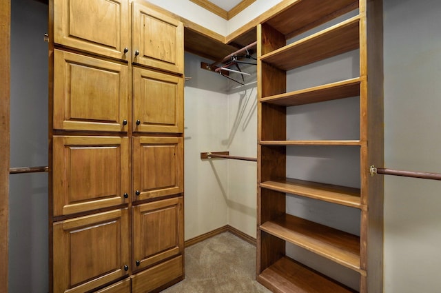 walk in closet with carpet