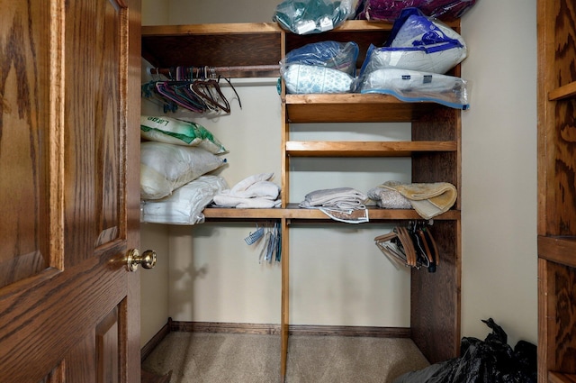 walk in closet with carpet