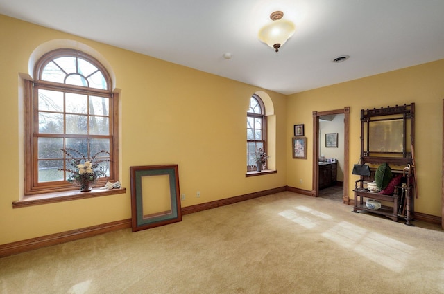 unfurnished room featuring light carpet and a healthy amount of sunlight