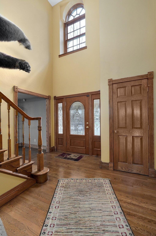 foyer entrance featuring dark hardwood / wood-style flooring and a high ceiling