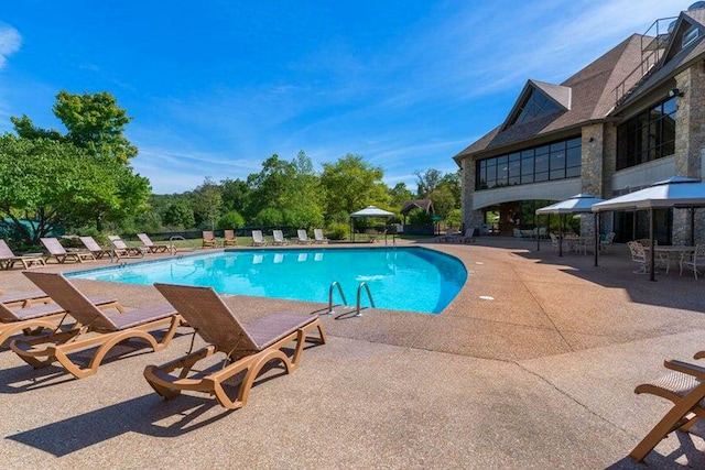 view of swimming pool with a patio area