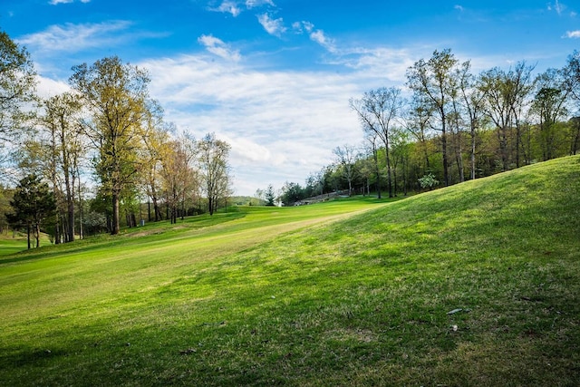 view of property's community with a lawn