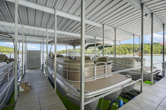 dock area with a water view