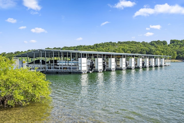 dock area featuring a water view