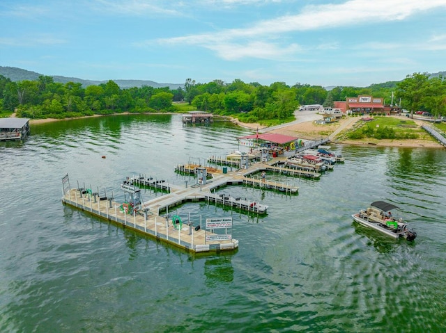 property view of water featuring a dock