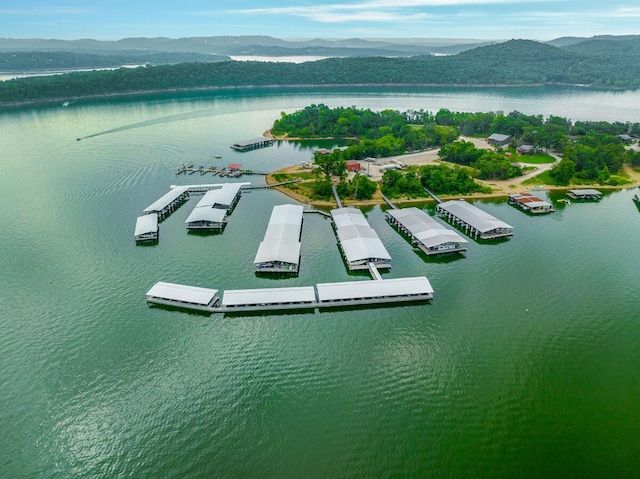 bird's eye view featuring a water and mountain view