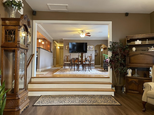 interior space with ceiling fan, crown molding, and wood-type flooring