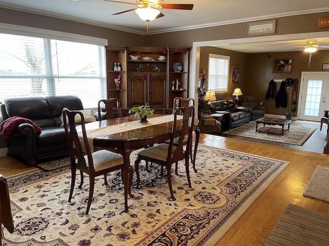 dining area featuring light hardwood / wood-style floors, ornamental molding, ceiling fan, and a healthy amount of sunlight