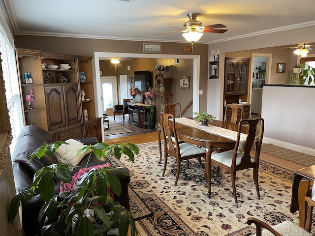 dining area with ceiling fan, a wealth of natural light, crown molding, and light hardwood / wood-style floors