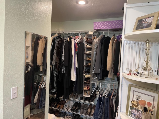 view of spacious closet