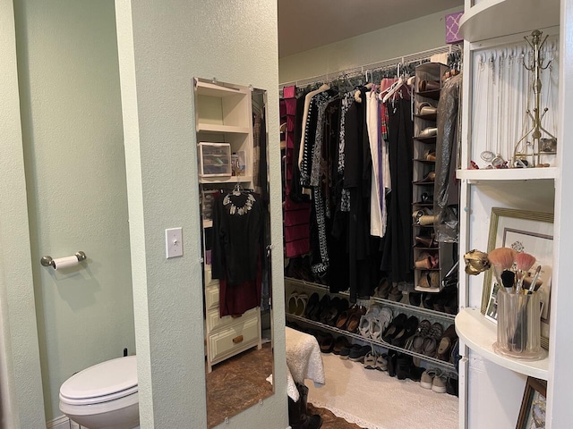 walk in closet featuring carpet flooring