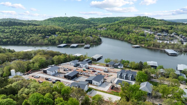 bird's eye view of a forest and a large body of water