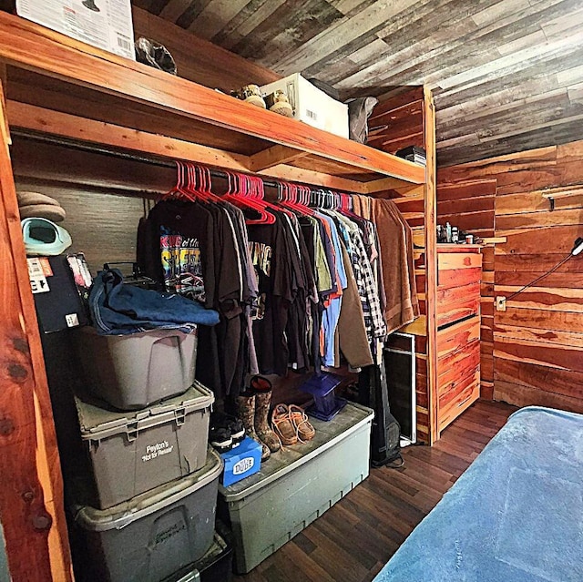 walk in closet with dark hardwood / wood-style flooring