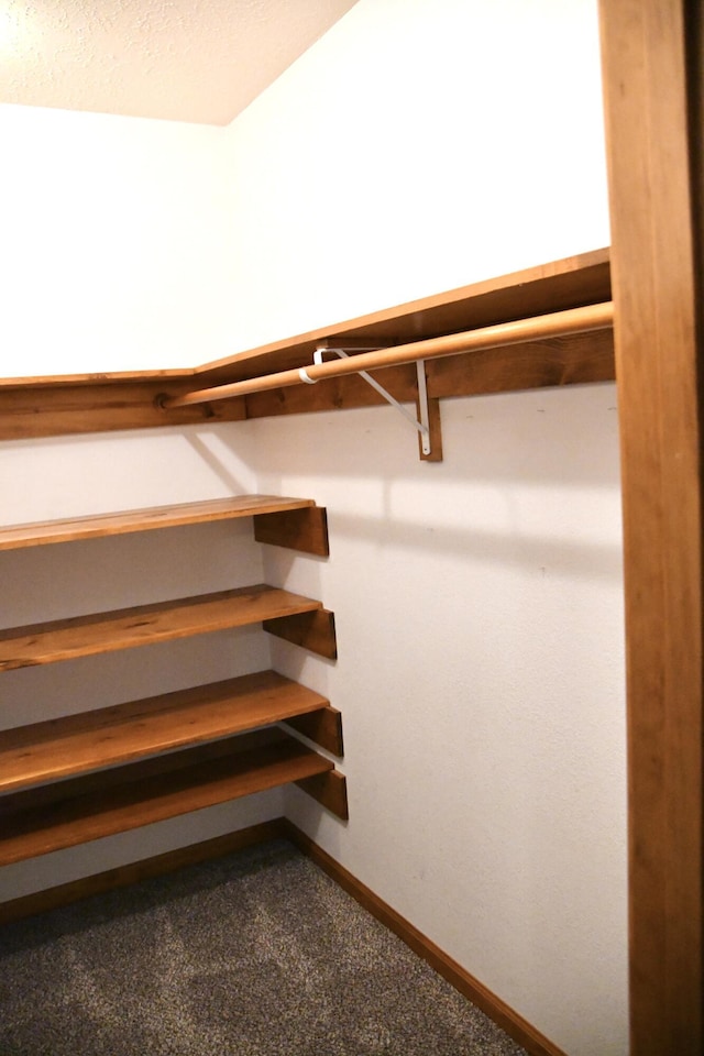 spacious closet with carpet flooring