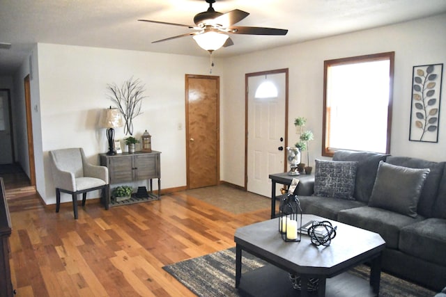 living room featuring ceiling fan and wood-type flooring