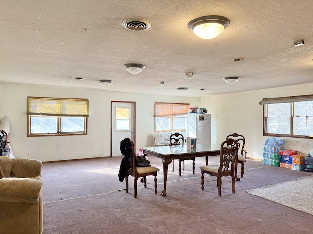 carpeted dining room featuring a wealth of natural light and a textured ceiling