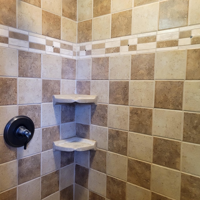 room details featuring tiled shower