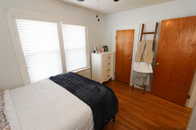 bedroom featuring ceiling fan, multiple windows, and dark hardwood / wood-style floors