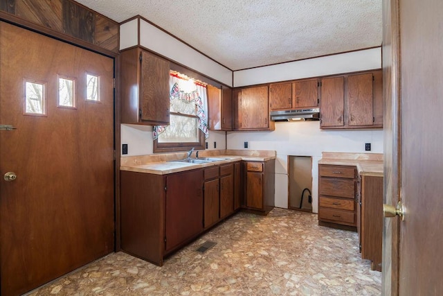 kitchen with a textured ceiling and sink