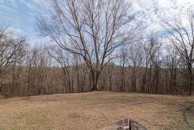 view of local wilderness