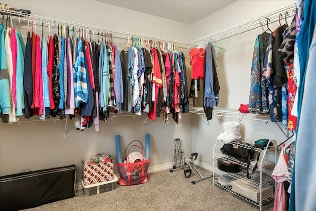 spacious closet featuring carpet floors