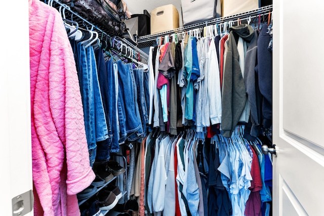 view of walk in closet