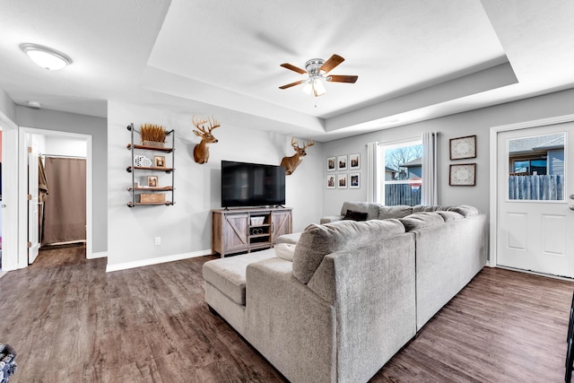 living room featuring ceiling fan, dark wood-type flooring, and a raised ceiling