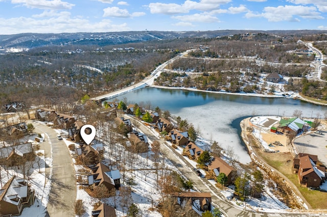 snowy aerial view with a water view