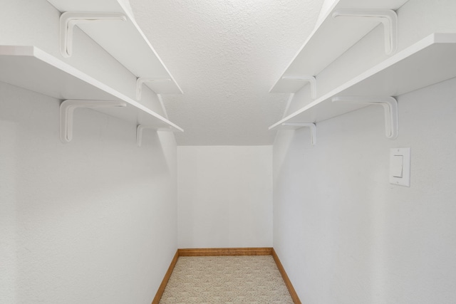 walk in closet with light carpet