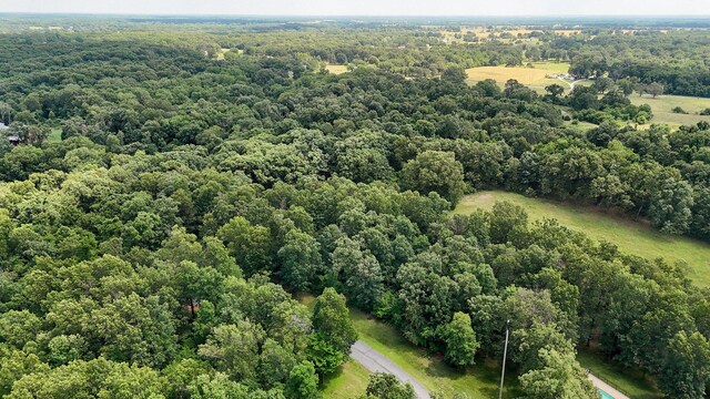 10350 Indian Ridge Ln, Carthage, MO 64836 - drone / aerial view of a forest