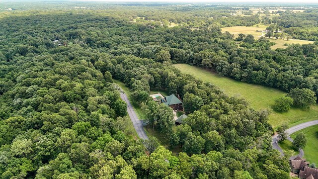 10350 Indian Ridge Ln, Carthage, MO 64836 - aerial view of a forest