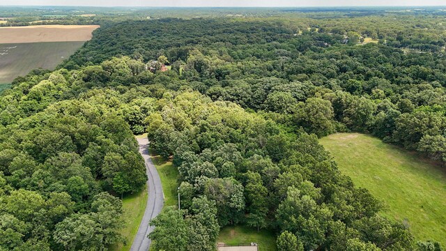 10350 Indian Ridge Ln, Carthage, MO 64836 - aerial view of a forest