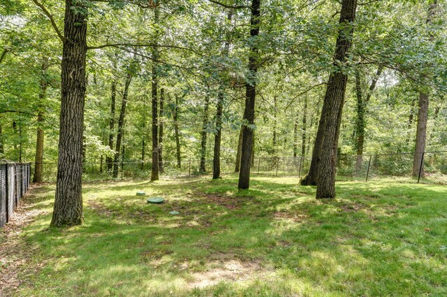 10350 Indian Ridge Ln, Carthage, MO 64836 - view of tree filled area