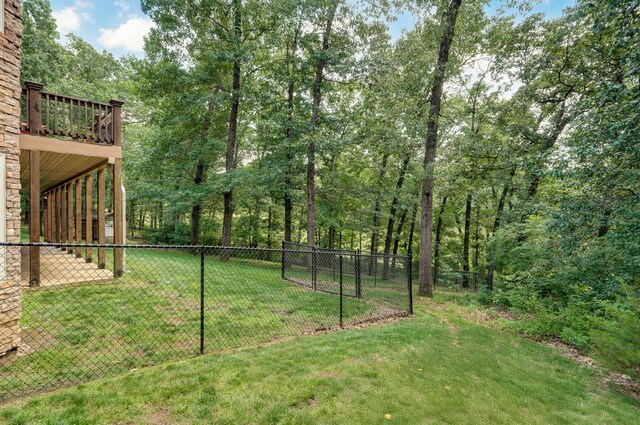 10350 Indian Ridge Ln, Carthage, MO 64836 - view of yard