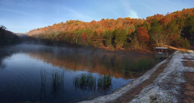 property view of water