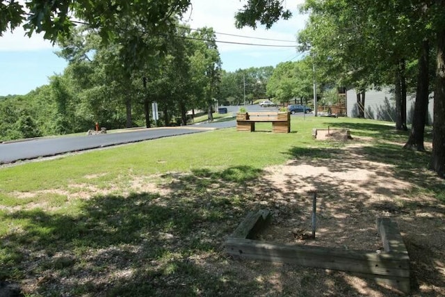 view of community with a lawn