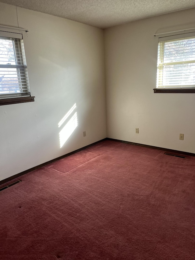 empty room featuring a textured ceiling and carpet flooring