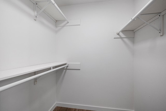 spacious closet featuring dark hardwood / wood-style floors