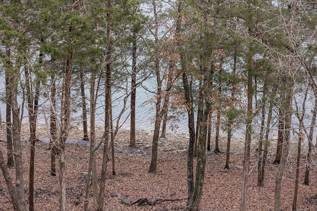 view of nature featuring a water view