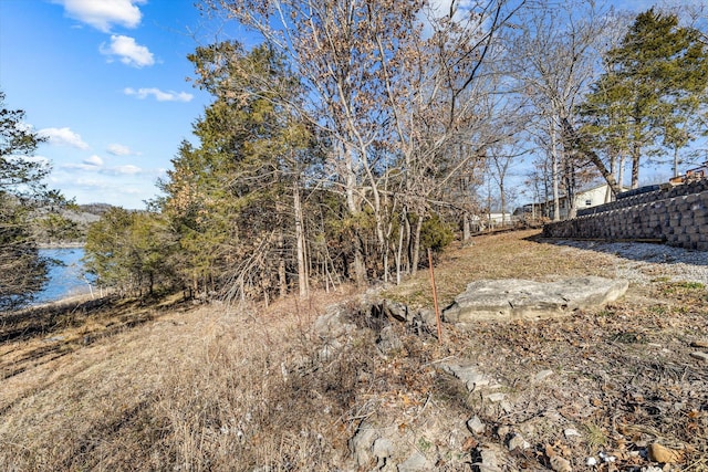 view of yard featuring a water view