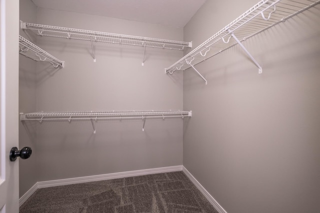 spacious closet featuring carpet flooring